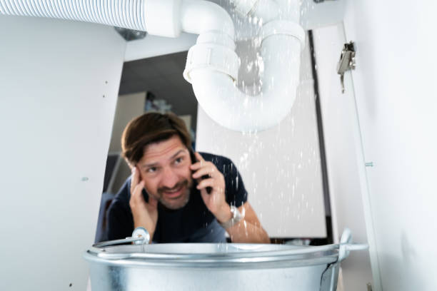 Best Sewer Cleaning Services  in Cortland, NY